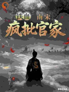 《赵构岳飞》小说全文精彩阅读 铁血南宋，疯批官家小说全文