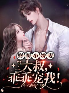 《安夏儿陆白》小说章节目录在线试读  第1章