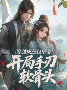 宋钦宗岳飞魂穿大宋：崇祯开局怒斩六贼小说全文阅读