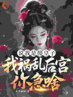 《说我是傻皇子，我祸乱后宫你急啥？》林杰萧婉如小说精彩内容在线阅读