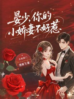 《晏少，你的小娇妻不好惹》苏锦晏樑章节目录在线阅读  第17章