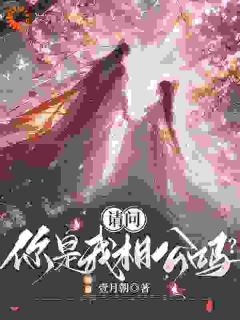 请问，你是我相公吗？完整全文全集精彩试读 请问，你是我相公吗？小说免费阅读