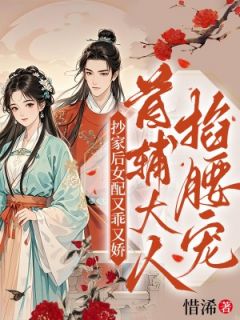 《抄家后女配又乖又娇，首辅大人掐腰宠》苏锦汐慕凌铄小说全文免费阅读