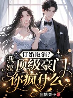 《叶云昭顾瑾轩》小说大结局免费试读 订婚取消？我嫁顶级豪门你疯什么小说阅读