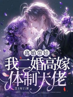 《离婚带娃，我二婚高嫁体制大佬》小说完结版精彩阅读 乔宁苏宴礼小说全文