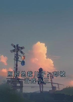 《照顾总裁儿子，却被当成小三》何颂宋溪溪全文在线阅读 第4章