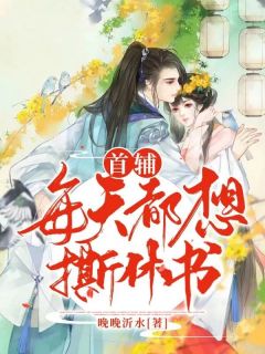 《首辅每天都想撕休书》纪挽朝陆聿怀章节目录精彩阅读