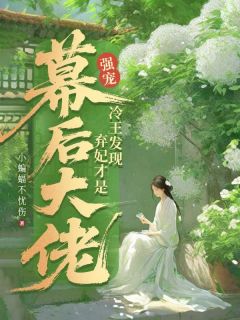 《洛晨曦赢王》强宠！冷王发现弃妃才是幕后大佬章节目录在线阅读