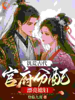 《萧景苏婉清》小说阅读 大胤服？我靠宠妻登顶小说