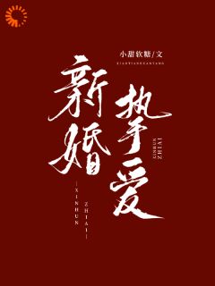 《沈妍谢承商》小说全文免费试读 新婚挚爱小说全文