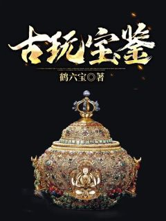 [梁石林昕]古玩宝鉴小说全文章节目录在线阅读