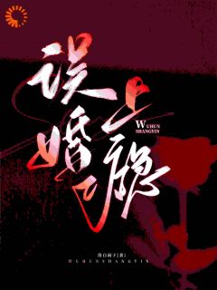 《误婚上瘾》小说章节目录在线试读 第9章