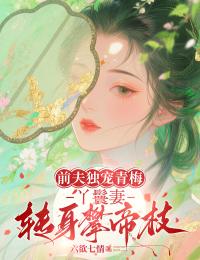 前夫独宠青梅，丫鬟妻转身攀帝枝by六欲七情无防盗章在线阅读