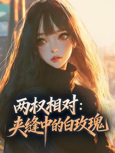 《两权相对：夹缝中的白玫瑰》甄珠儿陆沉第2章完结版免费阅读