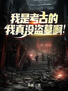 唐傲赵启王小说全文免费阅读 我是考古的，我真没盗墓啊！章节目录完整版