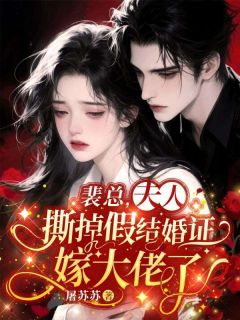 精品小说《裴总，夫人撕掉假结婚证嫁大佬了》沈云初裴淮言已完结版全文章节阅读