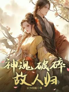 《神魂破碎故人归》小说阅读 夕月菲菲小说