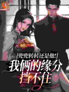 《禁欲领导自己养大的心肝宝贝！》小说章节目录精彩阅读 林晚禾沈砚礼小说全文