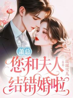 《洛念予萧柏寒》萧总，您和夫人结错婚啦完结版在线试读