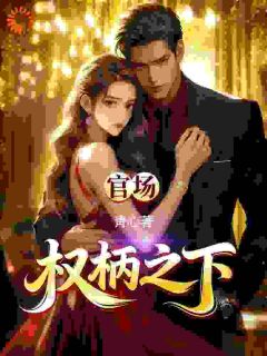 《齐云朗沈若清》官路：权柄之下章节列表在线试读