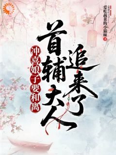 《苏云锦陆景和》小说章节列表精彩阅读 冲喜娘子要和离，首辅大人追来了小说全文