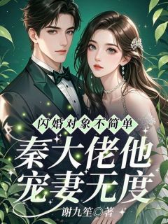 闪婚对象不简单，秦大佬他宠妻无度完整目录在线阅读 (盛嫣秦彧) 大结局无弹窗