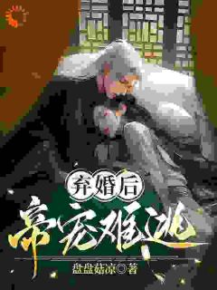 《弃婚后帝宠难逃》完结版免费阅读 《弃婚后帝宠难逃》最新章节目录