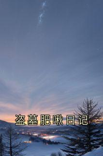 《宋澜》小说全文精彩试读 第2章盗墓：肥啾日记