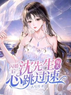 《闪婚后，沈先生每天心跳过速》小说全文精彩阅读 《闪婚后，沈先生每天心跳过速》最新章节目录
