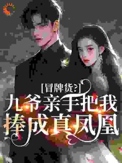 冒牌货？九爷亲手把我捧成真凤凰丁栀陆景曜小说大结局在线阅读