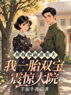 沈南乔傅毅珩完整版小说在线阅读地址 主角换嫁绝嗣准姐夫，我一胎双宝震惊大院