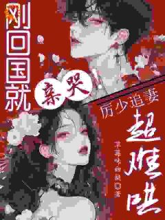 刚回国就亲哭！厉少追妻超难哄全文阅读 林浅雾厉淮峥小说章节目录