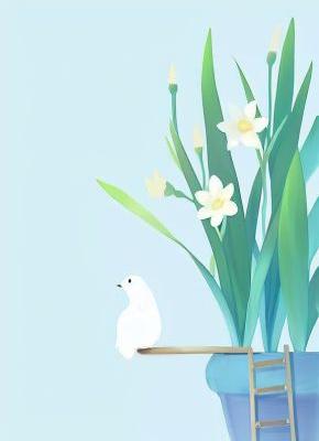 《怒砸神棍摊，他当晚成了我合法老公》免费试读 秦默姜野小说章节目录