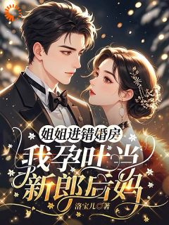 姐姐进错婚房，我孕吐当新郎后妈免费阅读 沈昭昭战北渊在线阅读