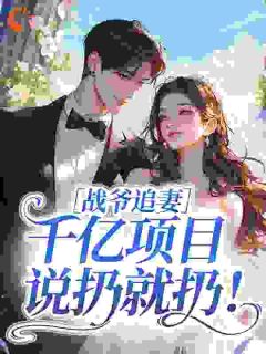沈昭昭战北渊战爷追妻，千亿项目说扔就扔！小说精彩内容免费试读