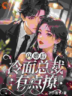 《苏念昭陆彦深》小说章节列表精彩试读 闪婚后，冷面总裁有点撩小说阅读
