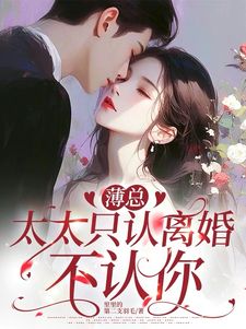 《林晚晚薄砚辞》小说章节目录免费试读 薄总，太太只认离婚不认你小说全文
