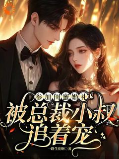 《秦时安霍宴洲》小说精彩章节免费试读（主角参加闺蜜婚礼，被总裁小叔追着宠）