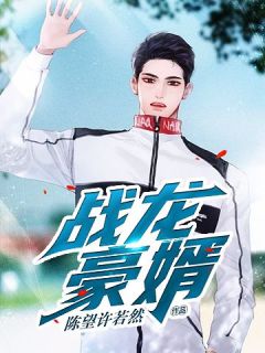 《战龙豪婿》陈望许若然章节列表在线试读 第10章