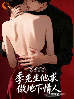 《苏言季复临》小说完整版在线阅读（主角久别重逢，季先生他求做地下情人）