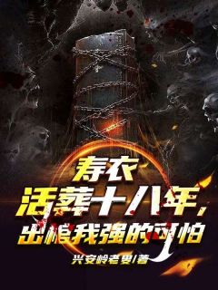 寿衣活葬十八年，出棺我强的可怕小说全集免费在线阅读（陈平安）