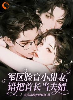 《军区脸盲小甜妻，错把首长当夫婿》小说全文免费阅读 《军区脸盲小甜妻，错把首长当夫婿》最新章节目录