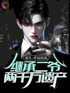 林青林建国重生：开局出国，继承二爷两千万遗产精彩章节在线阅读
