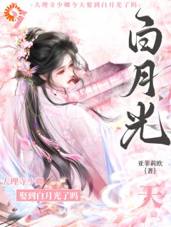 《沈知许顾砚修》小说章节目录精彩阅读 大理寺少卿今天娶到白月光了吗？小说全文