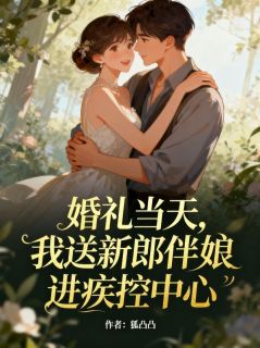 婚礼当天，我送新郎伴娘进疾控中心by狐凸凸无防盗章在线阅读