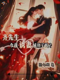 宋明溪齐观澜齐先生今夜诱妻成功了吗？小说全文章节阅读 宋明溪齐观澜免费精彩章节