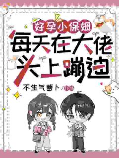 《好孕小保姆，每天在大佬头上蹦迪》阮念安江随野大结局在线阅读