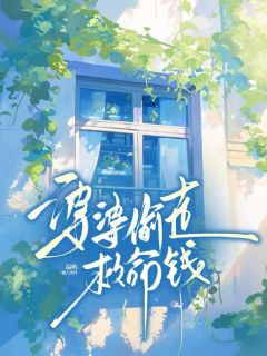 婆婆偷走救命钱全章节免费在线阅读 李强林昭完结版