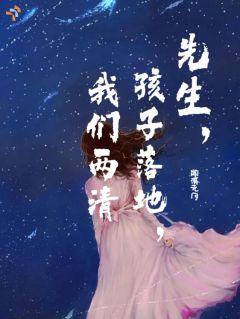 《宋知夏顾晏辰》先生，孩子落地，我们两清章节精彩试读