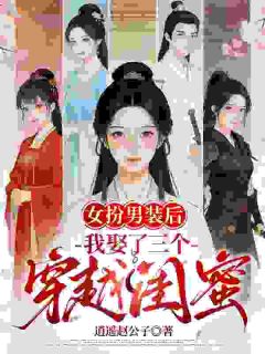 余南晴沈沐橙 女扮男装后，我娶了三个穿越闺蜜完结版在线阅读